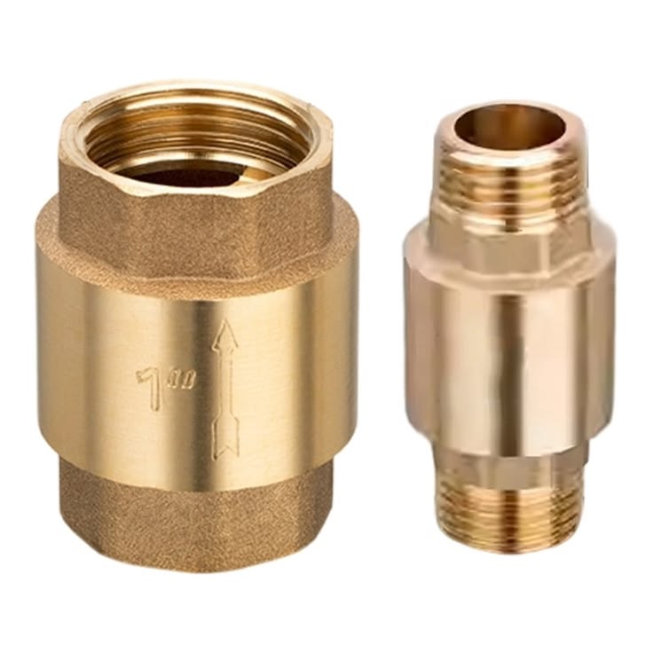 1 inch Brass Check Valve
